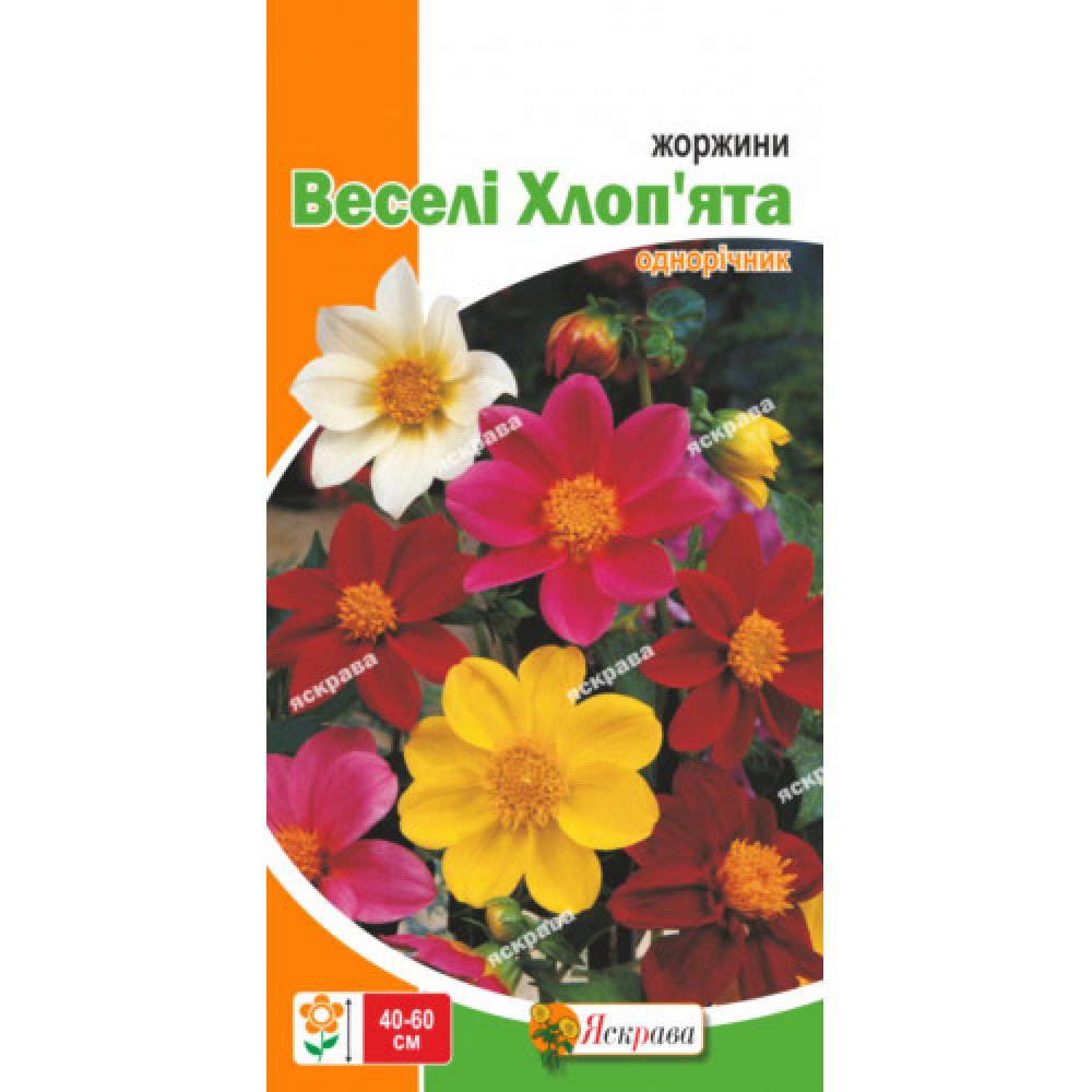 Георгины Весёлые Ребята смесь 0.3 г