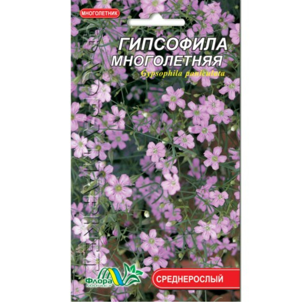Gypsophila perenă 0,1 g