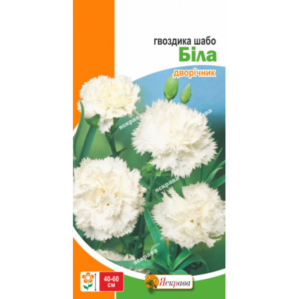 Гвоздика Шабо Белая 0.1 г