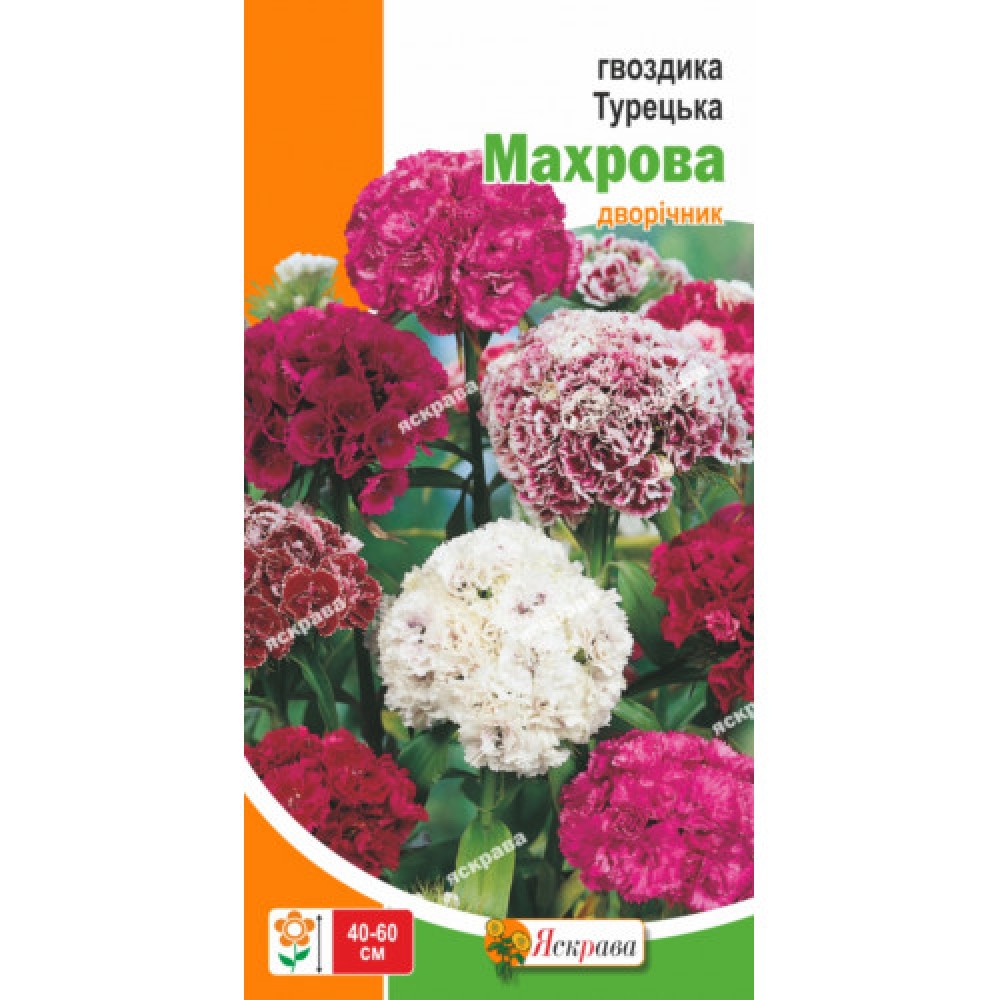 Гвоздика Турецкая 0.5 г