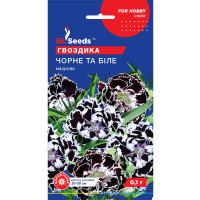 Семена Гвоздики махровая Черное и белое
