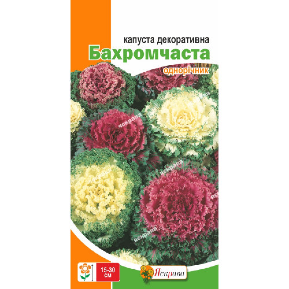 Капуста декоративная Бахромчатая 0.2 г