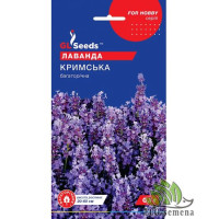 Лаванда Крымская многолетняя (0.1г)