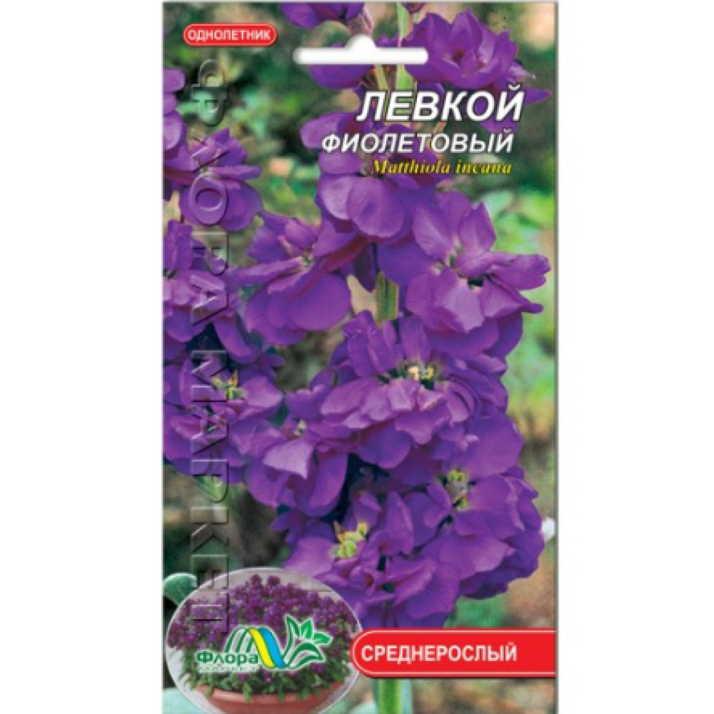 Levcoi violet 0,1 g