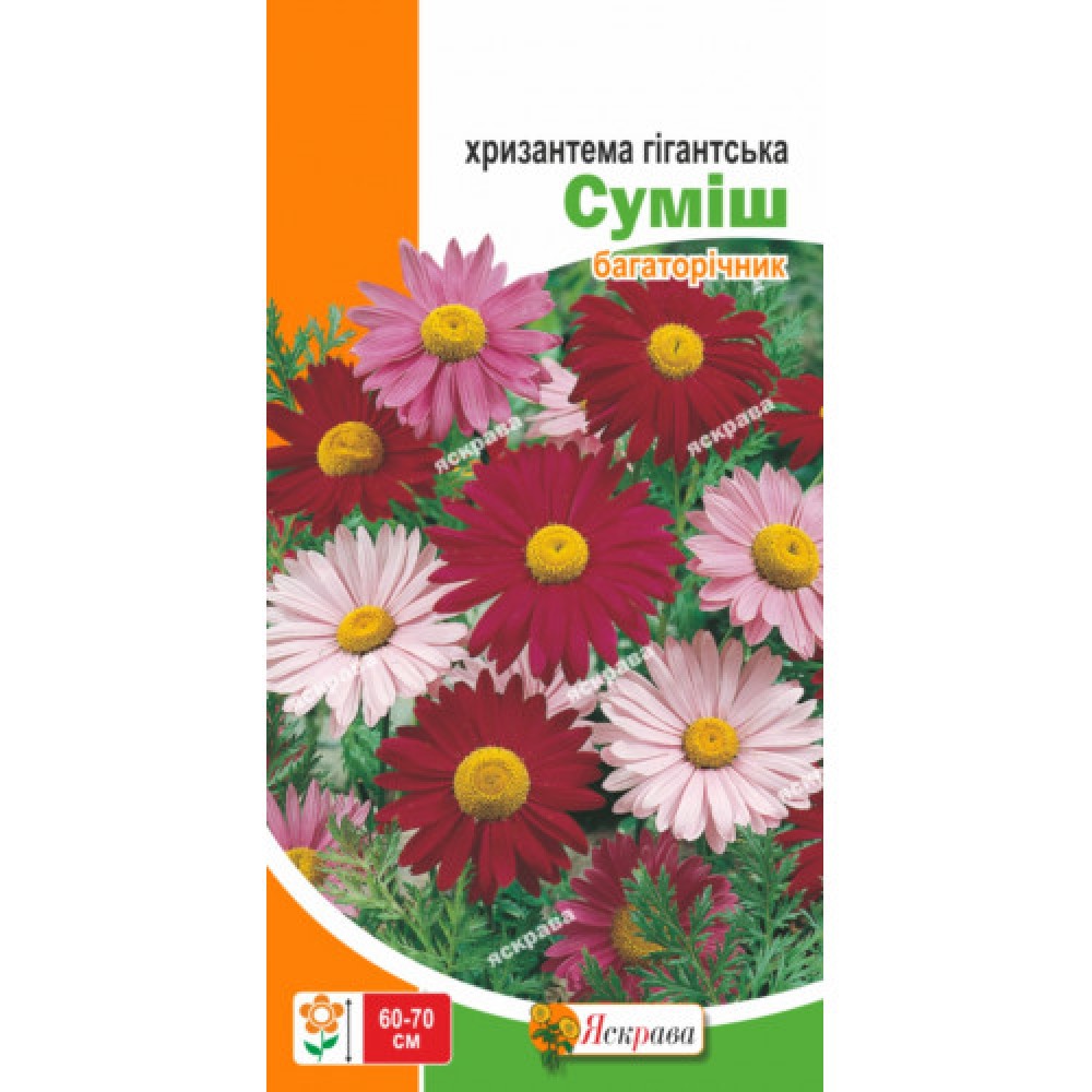 Хризантема Гигантская смесь 0.2 г
