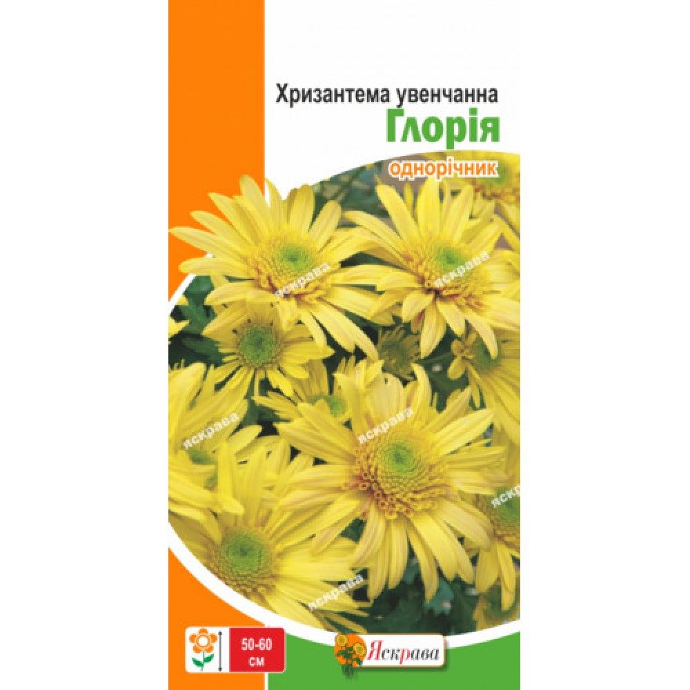 Хризантема Глория 0.3 г
