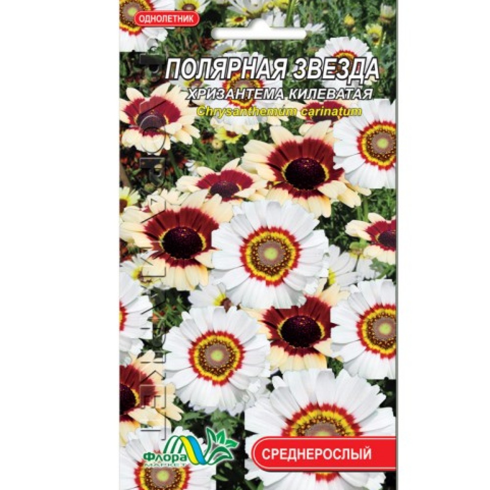 Хризантема Полярная Звезда 0.1 г