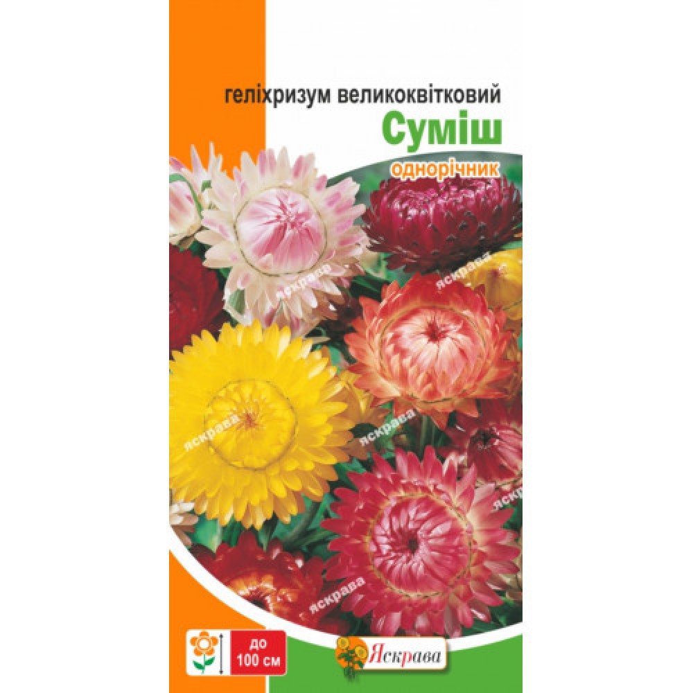 Гелихризум Крупноцветковый смесь 0.3 г