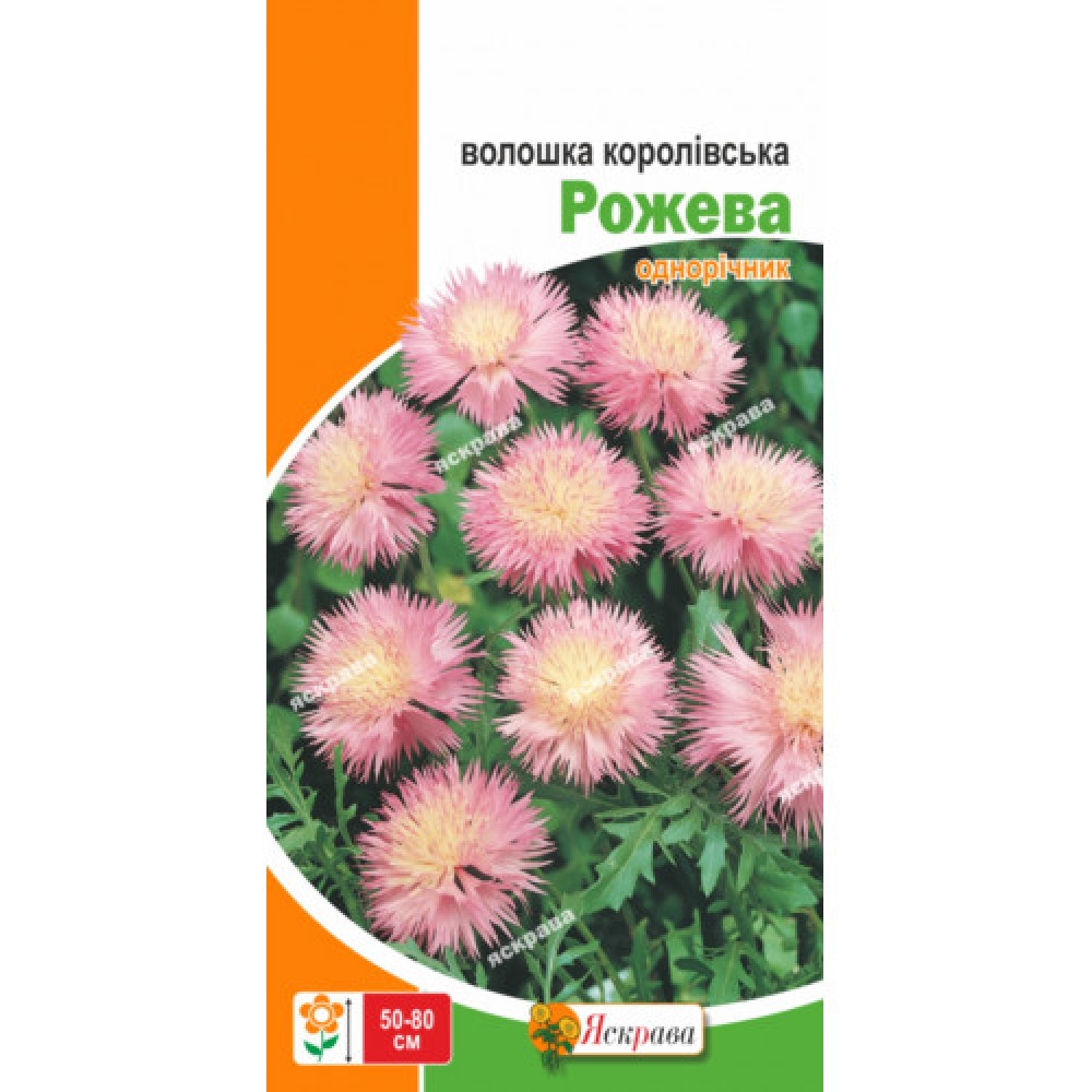 Василёк Королевский Розовый 0.5 г