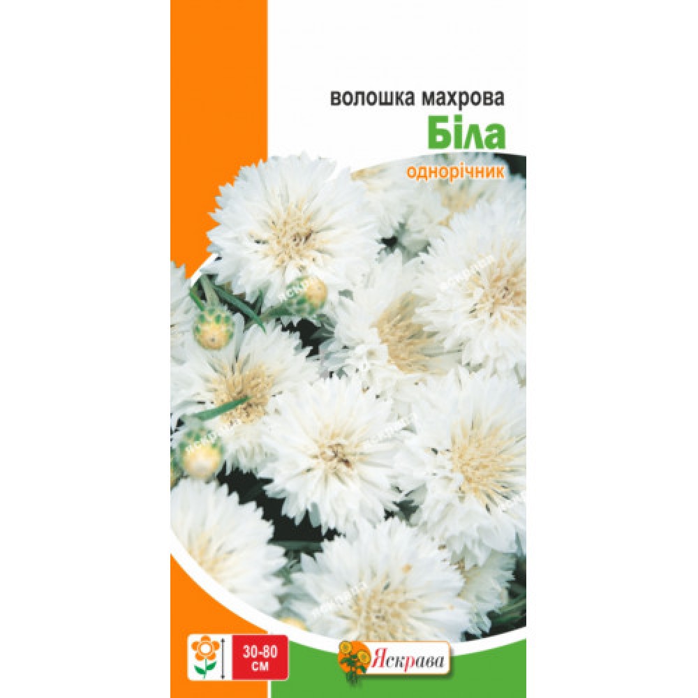 Василёк Махровый Белый 0.5 г