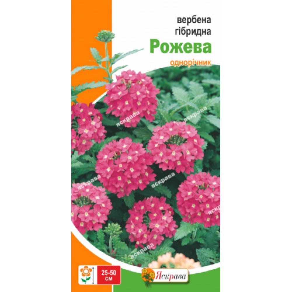 Вербена гибридная Розовая 0.1 г