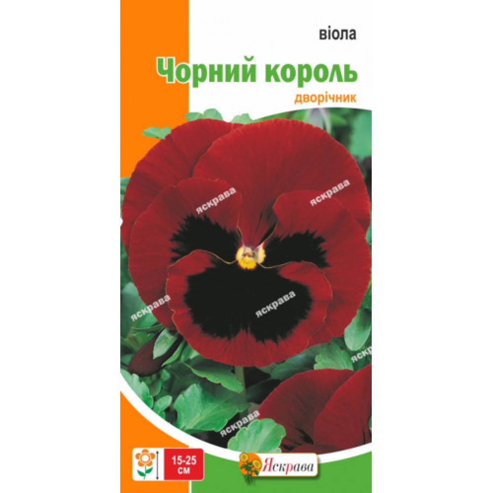 Виола Черный король 0.1 г