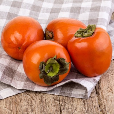 Хурма Виргинская Крупноплодная (привита Украина) 1 класс