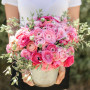 Ranunculus asiaticus aviv pink