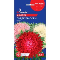 Astra Mândria Toamnei (0.3g)/ Астра Гордость осени 