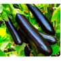 Баклажан Лонг поп / 0,3 г 