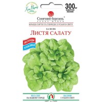 Busuioc Frunze de Salata (300 seminte)