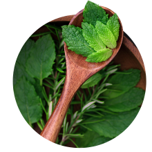 Semințe de ierburi aromatice și medicinale