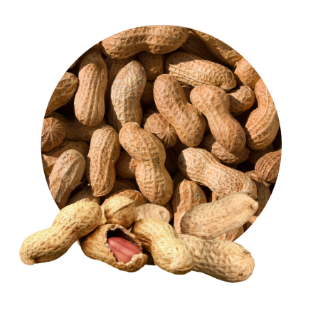 Arahis