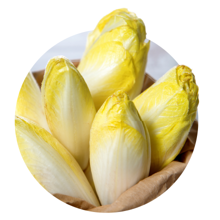Сicoare de salata