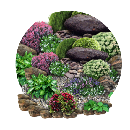 Amestecuri florale