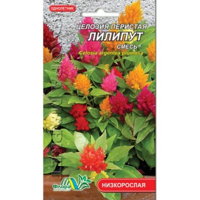 Celosia penata Lilliput amestec (0,05 g)