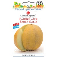 Дыня Ранняя Галия 20 семян