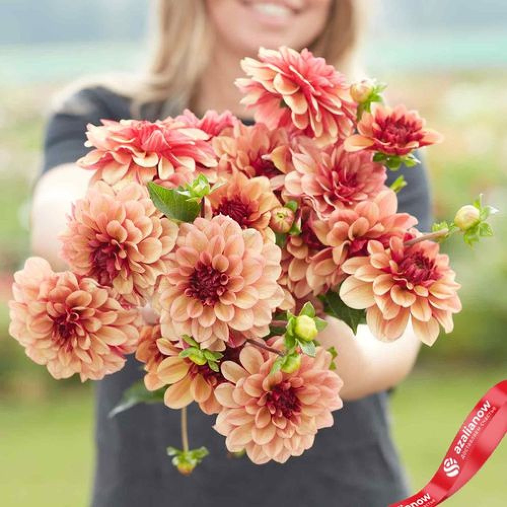 Dalia decorative Creme De Cognac