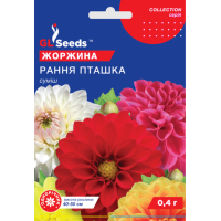 Георгина Ранняя пташка (0.4г)