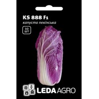 Varza chinezeasca Yamada F1 10 sem.