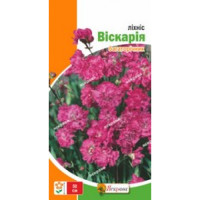 Lychnis viscaria 0,1 g