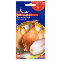Ceapa Salota Zaporojskaya (1 g)