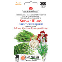 Лук Шива 300 семян
