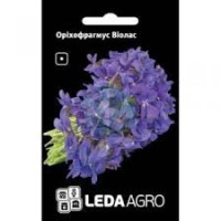 Orychophragmus violaceus (0,5 g)