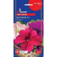 Petunie Zeita F1 (0.1g)