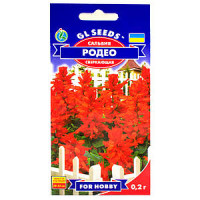 Сальвия (Шалфей) Родео (0.1г)