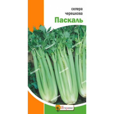 Сельдерей черешковый Паскаль 0.5 г