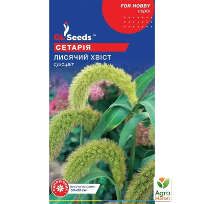 Setaria Coada vulpii (1 g)