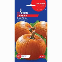 Тыква Амазонка (5шт)